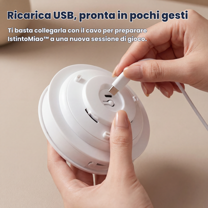 IstintoMiao™ - Gioco interattivo automatico per stimolare l’istinto del tuo gatto